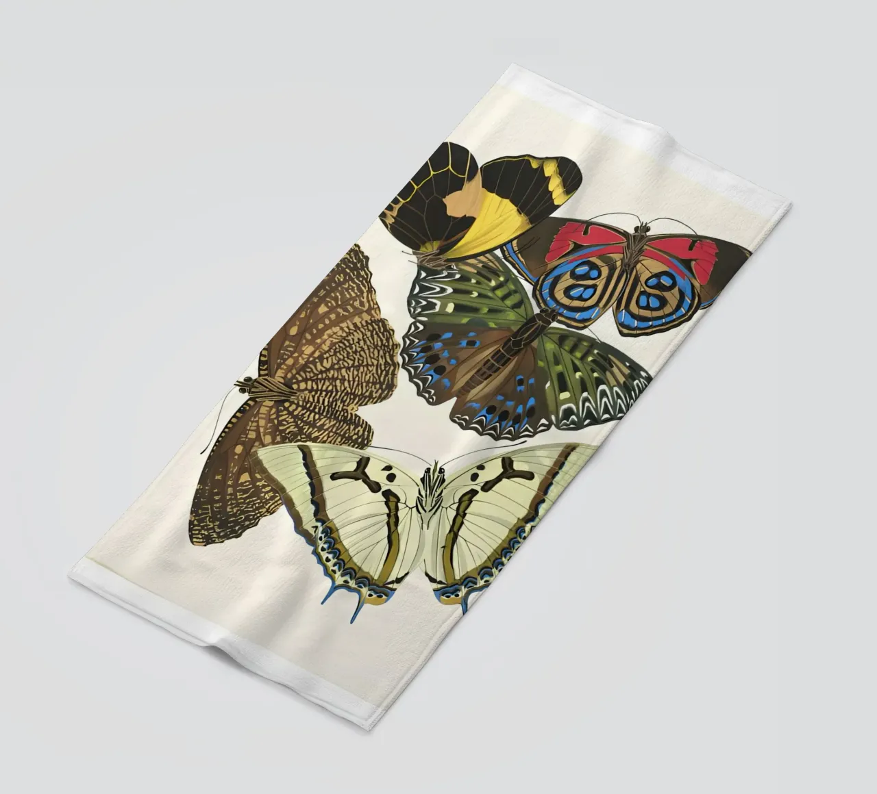 entomologia fauna selvatica telo mare da Fred Marshall