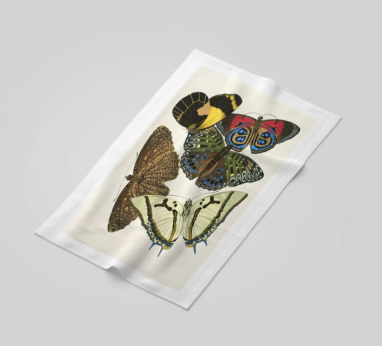 entomologia fauna selvatica telo mare da Fred Marshall