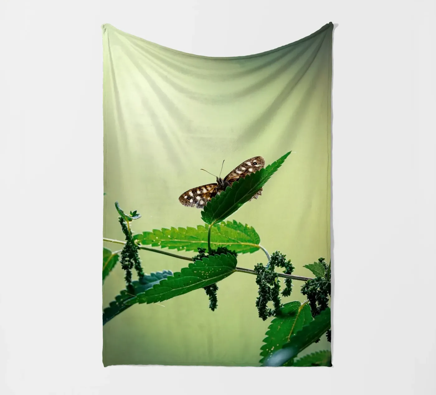 Butterfly coperta in pile da Tom's Wildlife
