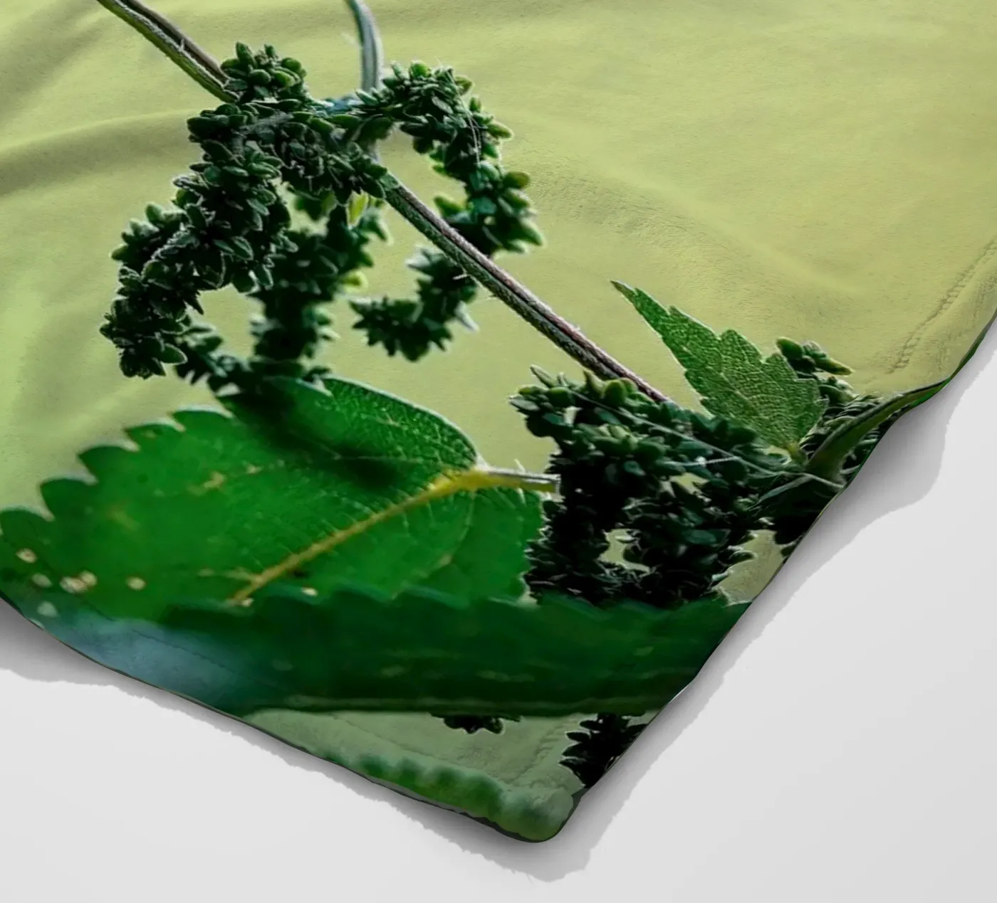 Butterfly coperta in pile da Tom's Wildlife