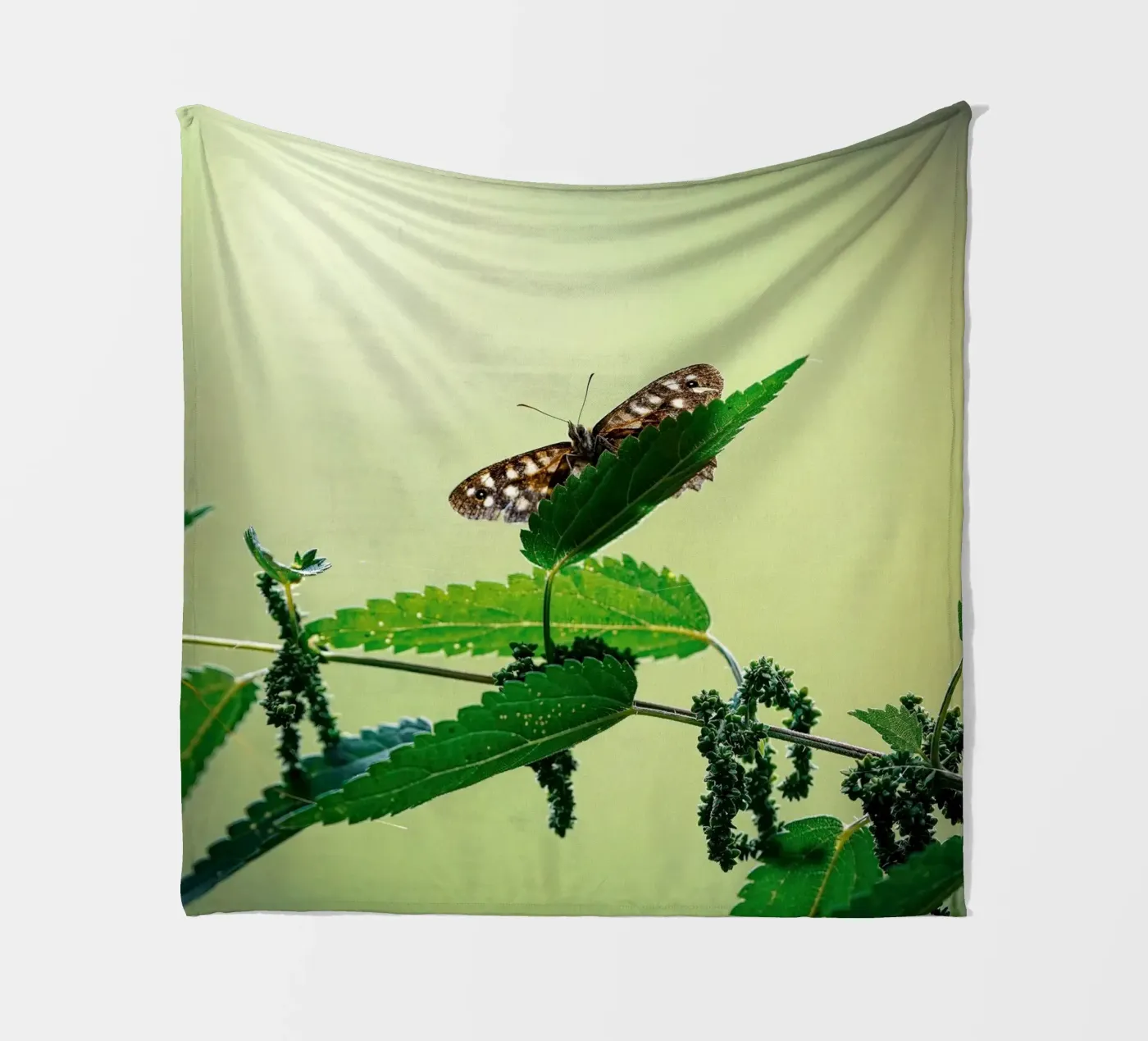 Butterfly coperta in pile da Tom's Wildlife