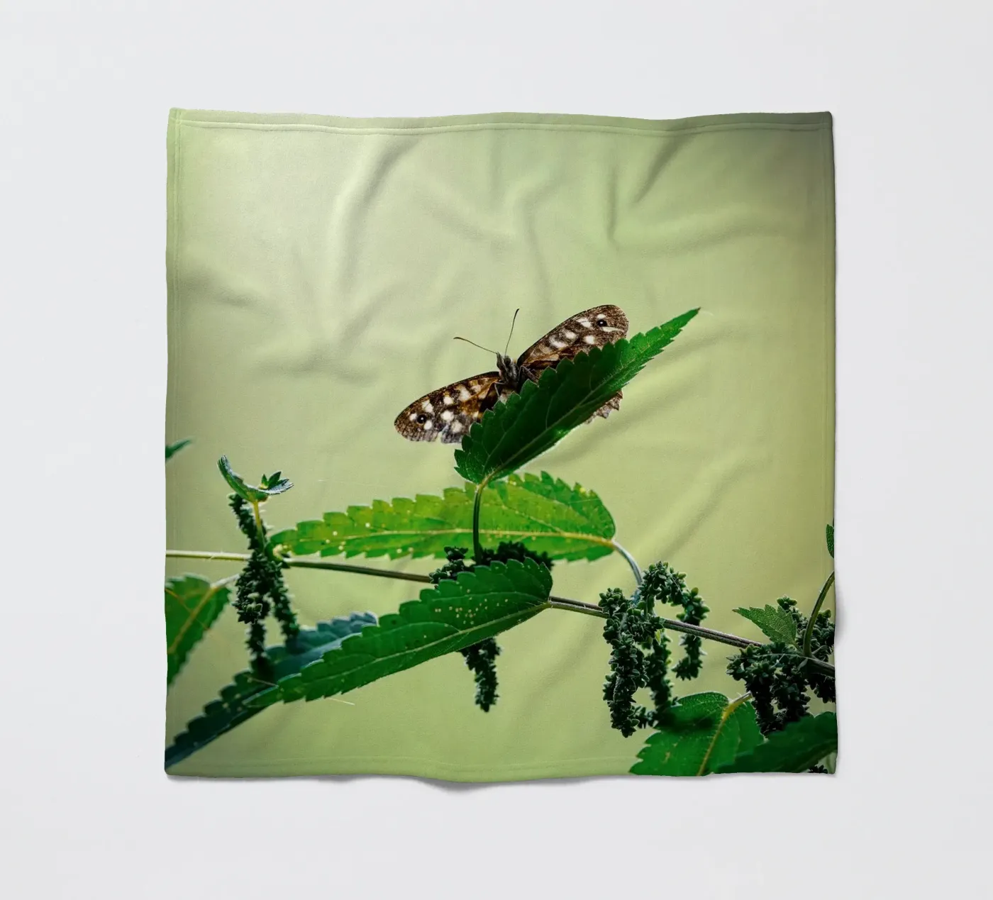 Butterfly coperta in pile da Tom's Wildlife