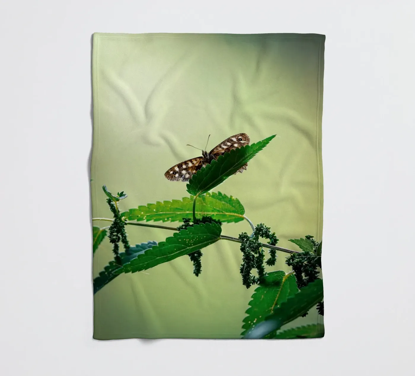 Butterfly coperta in pile da Tom's Wildlife