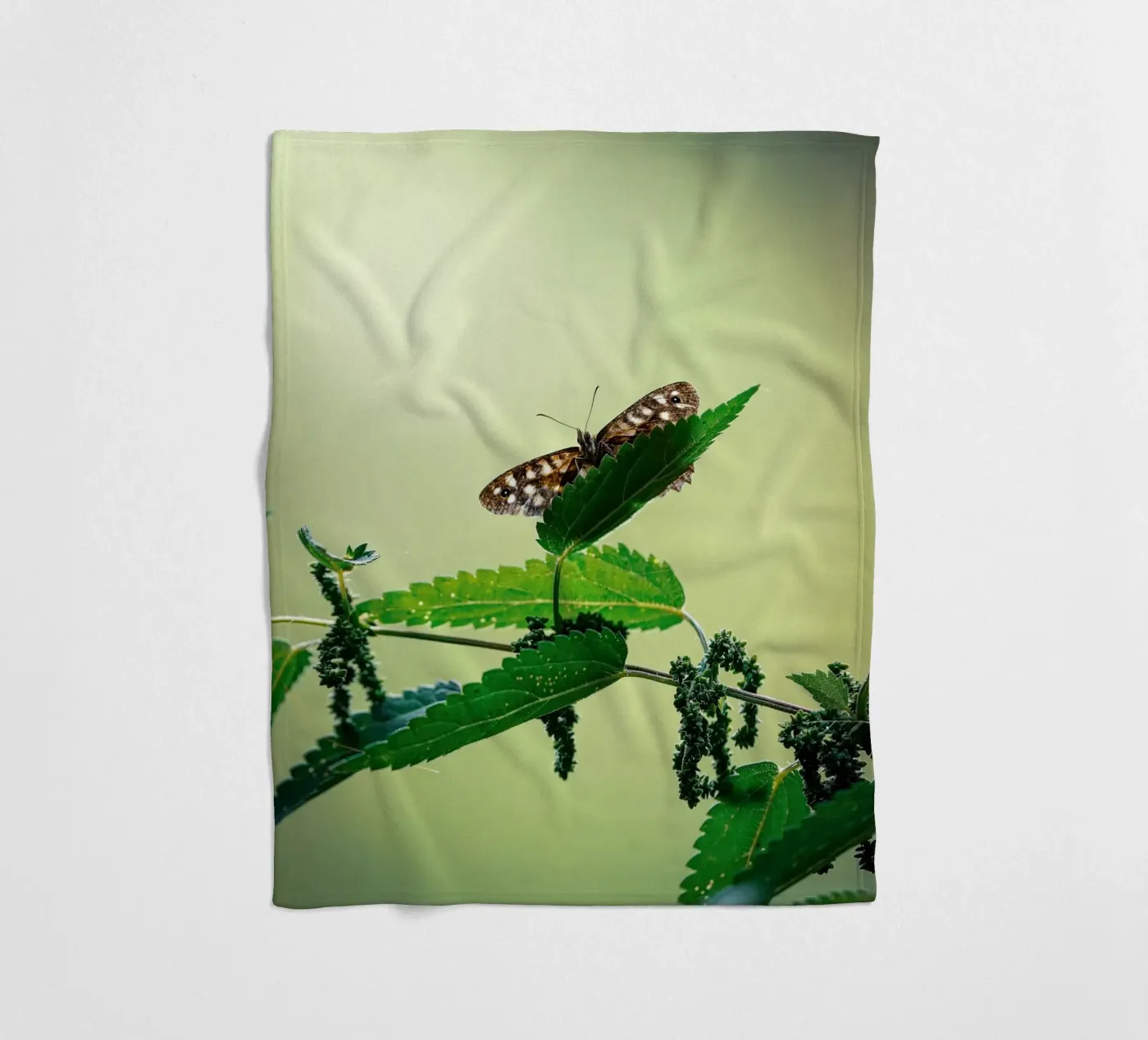 Butterfly coperta in pile da Tom's Wildlife