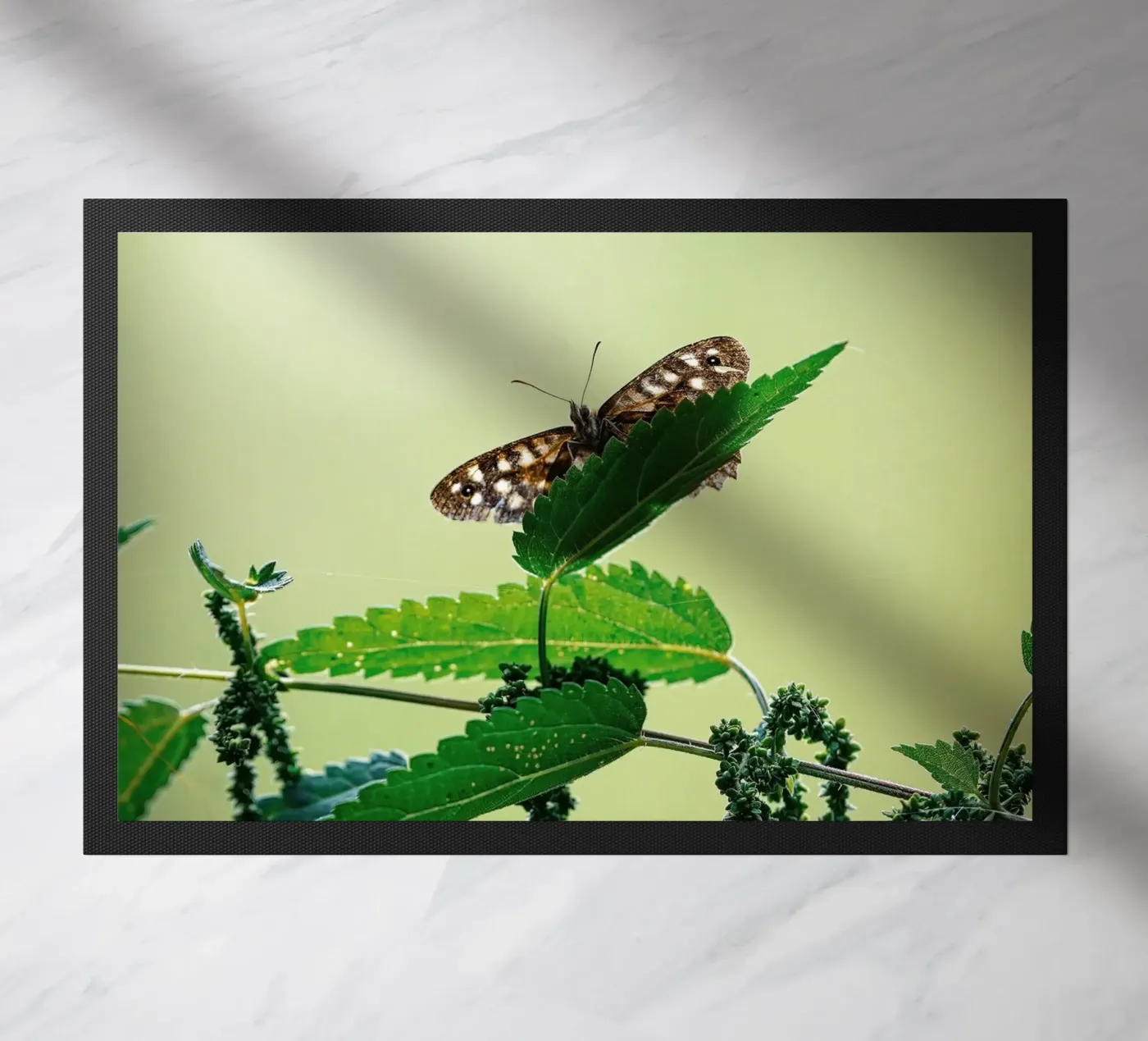 Butterfly Fußmatte von Tom's Wildlife