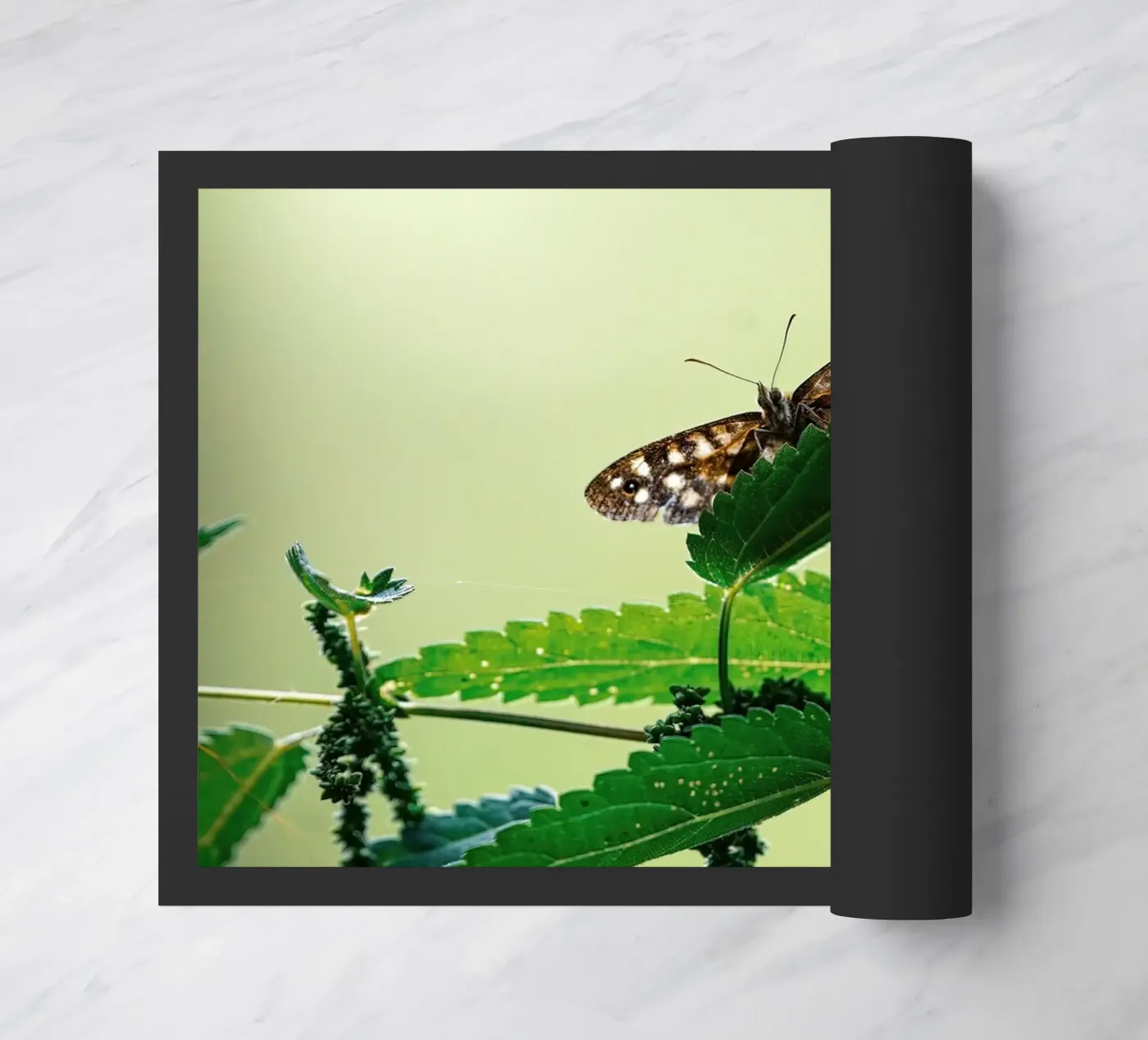 Butterfly Fußmatte von Tom's Wildlife