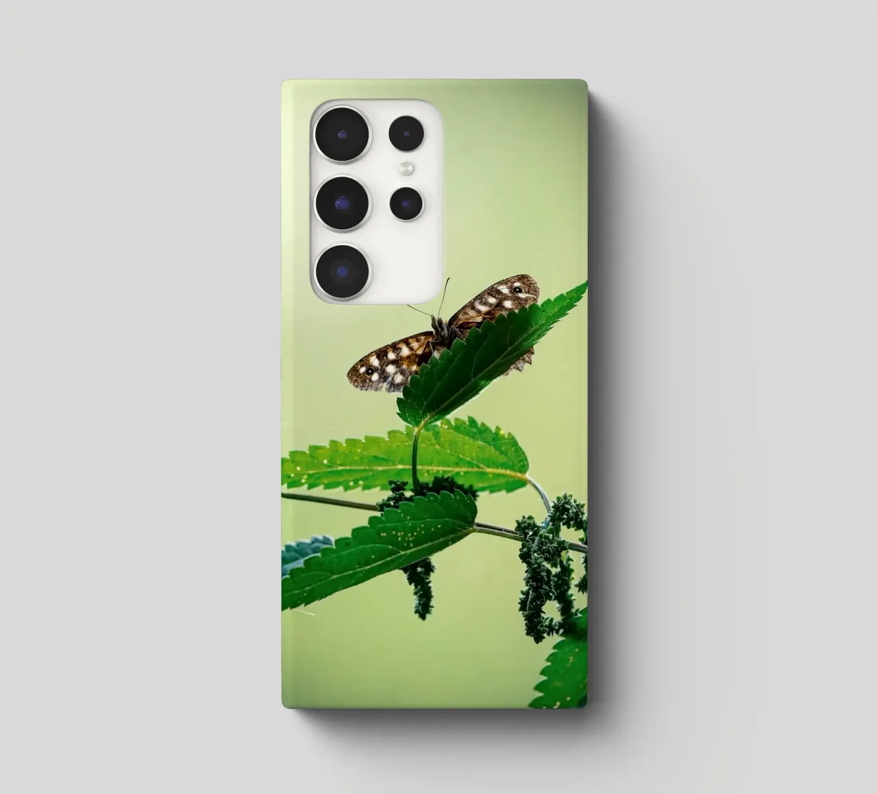 Farfalla cover samsung da Tom's Wildlife