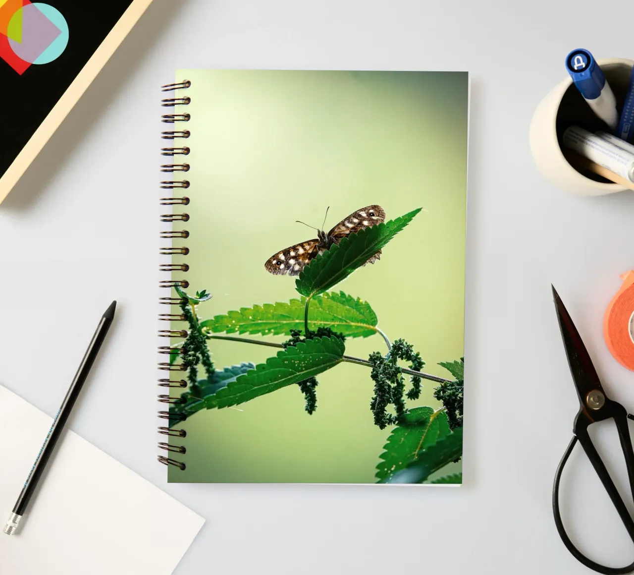 Schmetterling Ringbuch von Tom's Wildlife
