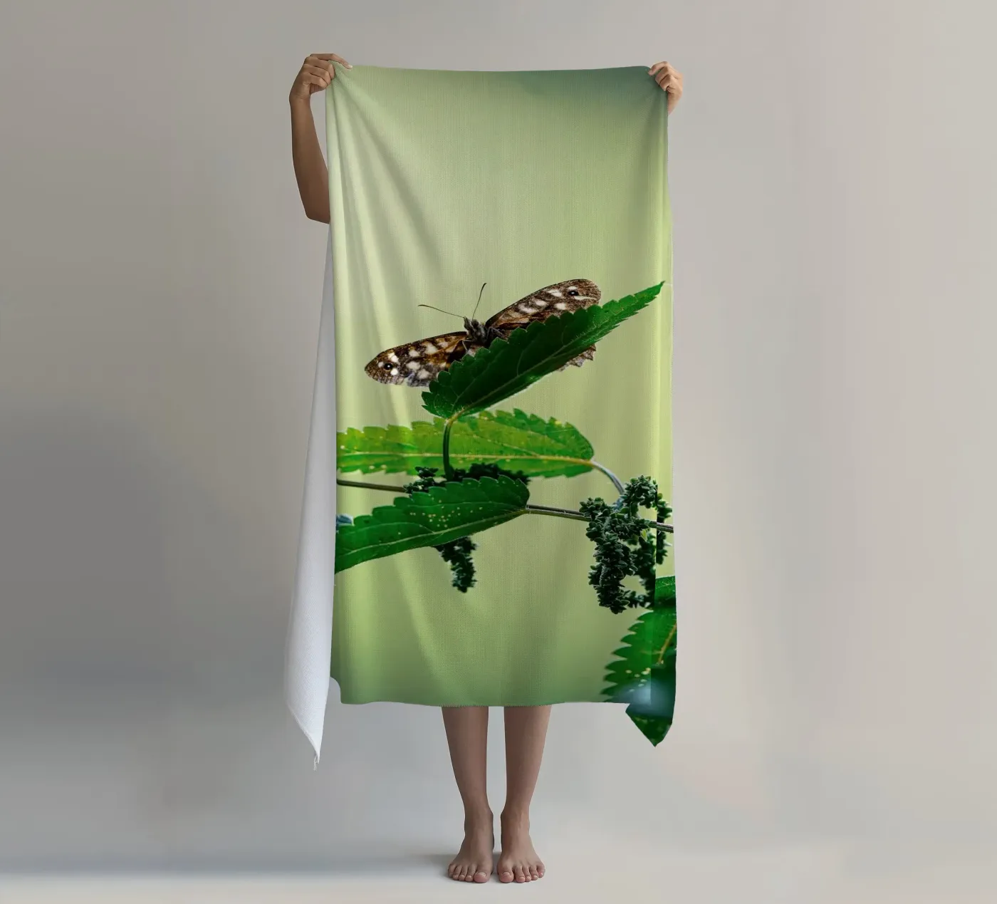 Butterfly Strandtuch von Tom's Wildlife