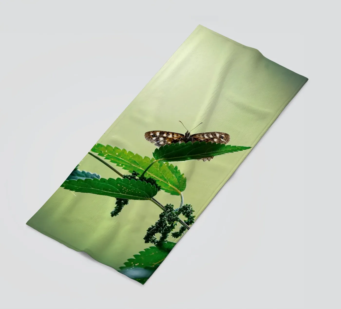 Butterfly Strandtuch von Tom's Wildlife