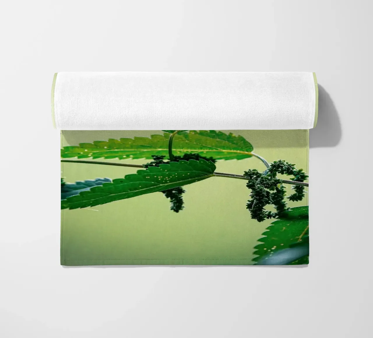 Farfalla telo mare da Tom's Wildlife