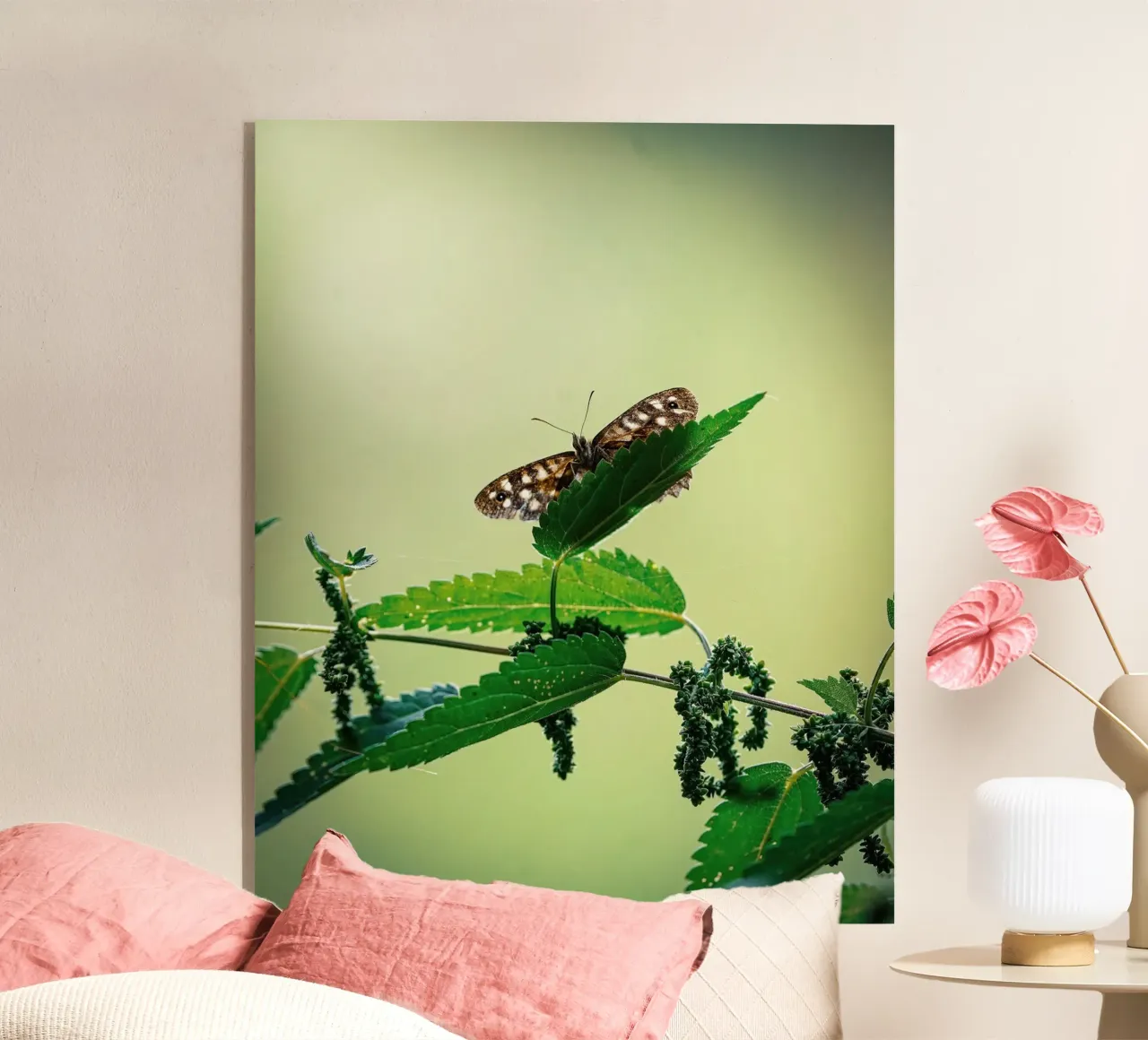 Farfalla plexiglass da Tom's Wildlife