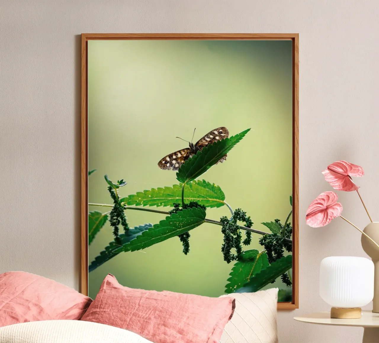 Farfalla alluminio dibond da Tom's Wildlife