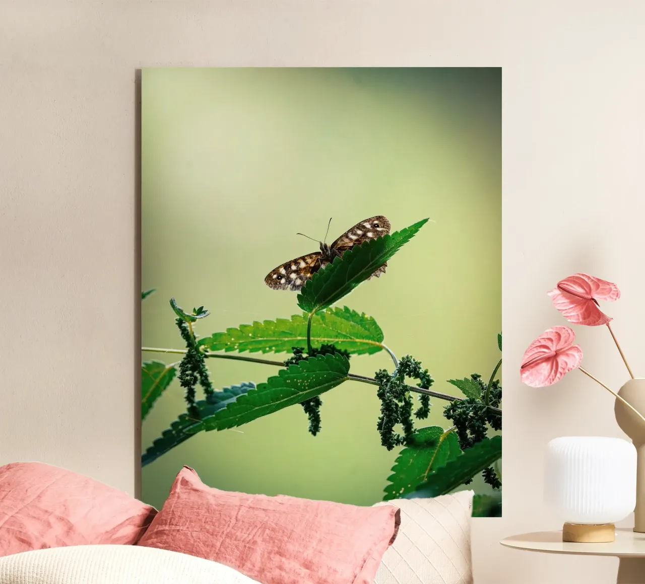 Farfalla alluminio dibond da Tom's Wildlife