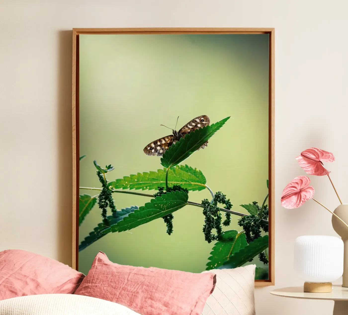 Schmetterling Leinwand von Tom's Wildlife