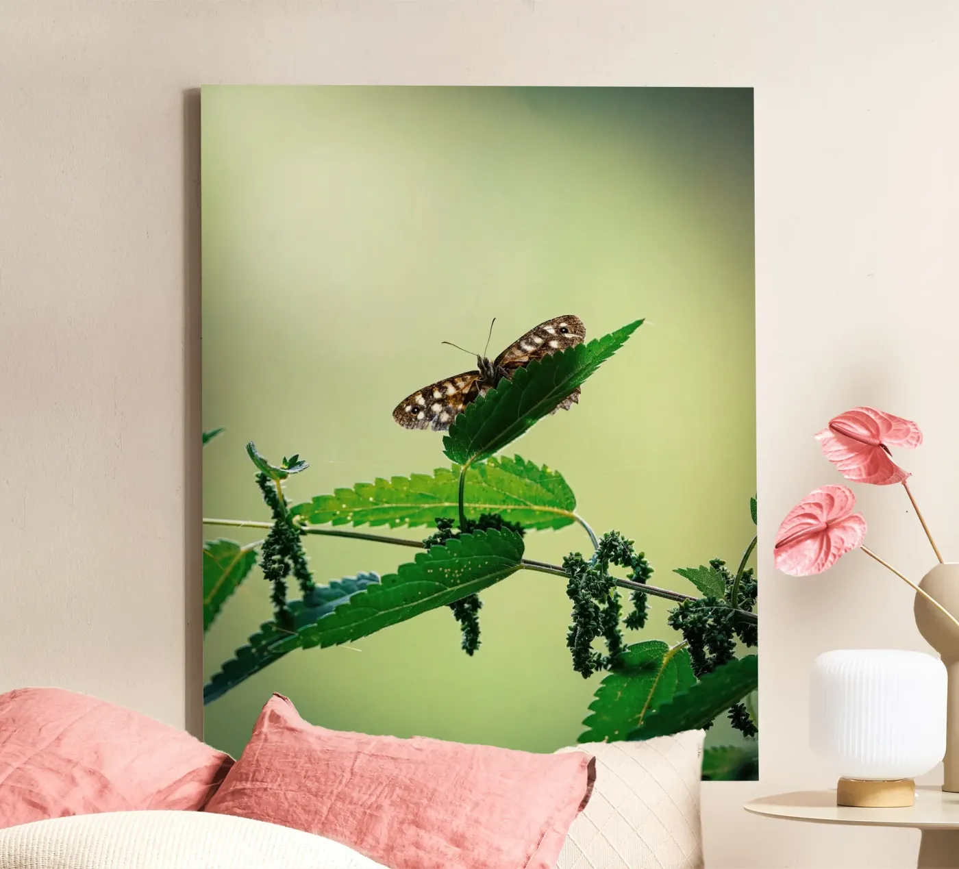 Schmetterling Leinwand von Tom's Wildlife
