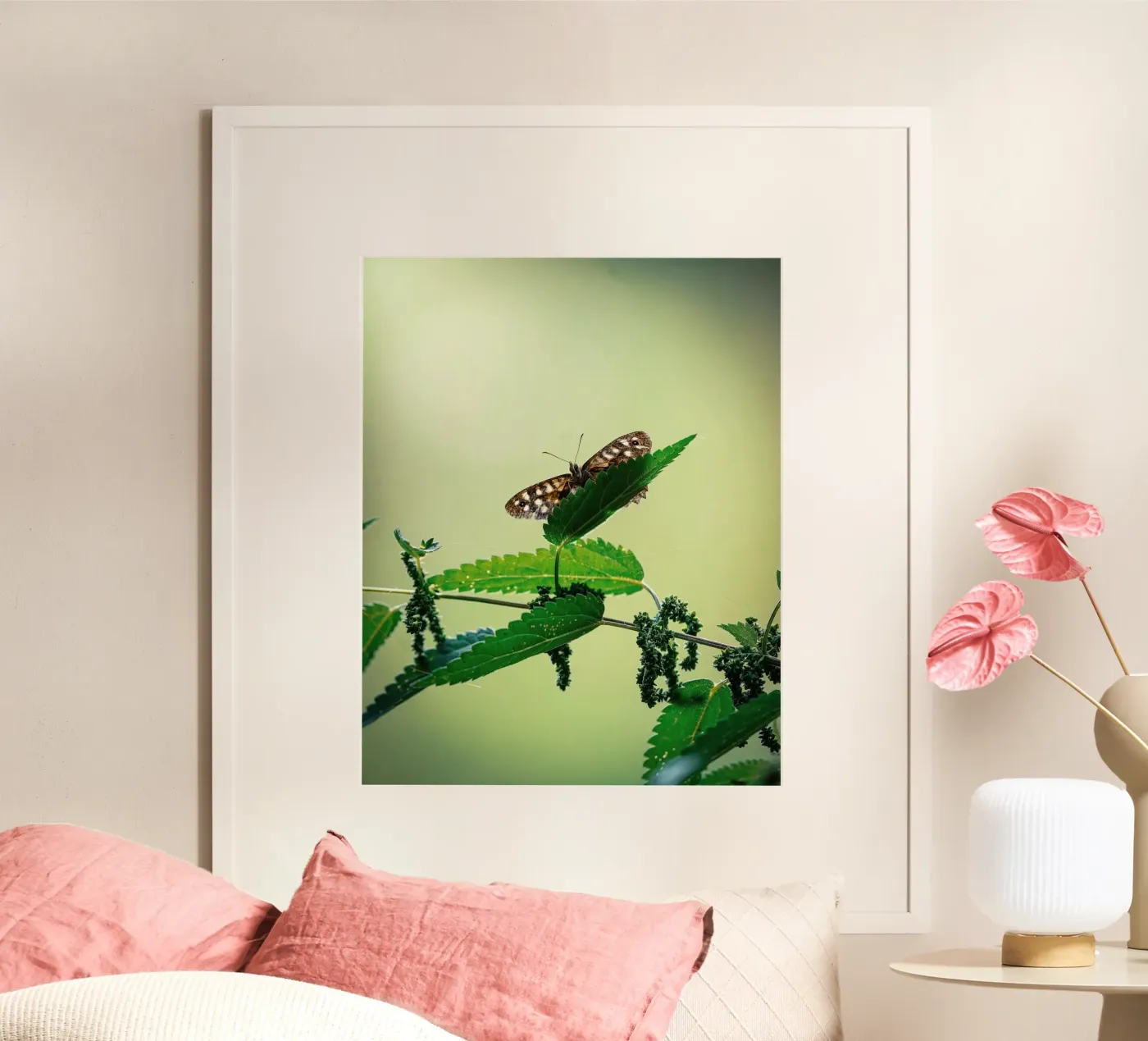 Butterfly poster by Tom's Wildlife