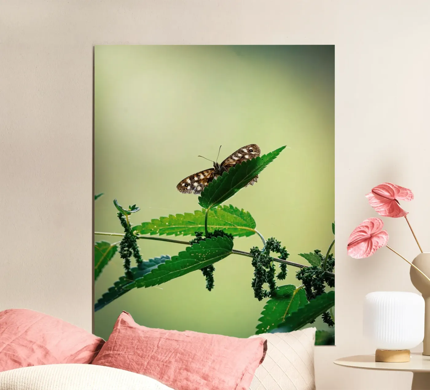 Butterfly poster by Tom's Wildlife