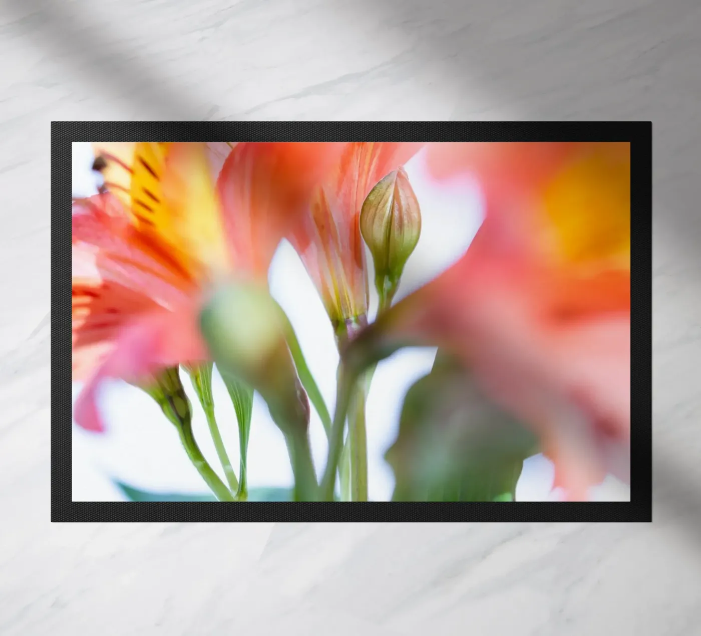 studi sulla flora #9 zerbino da rafael campezato