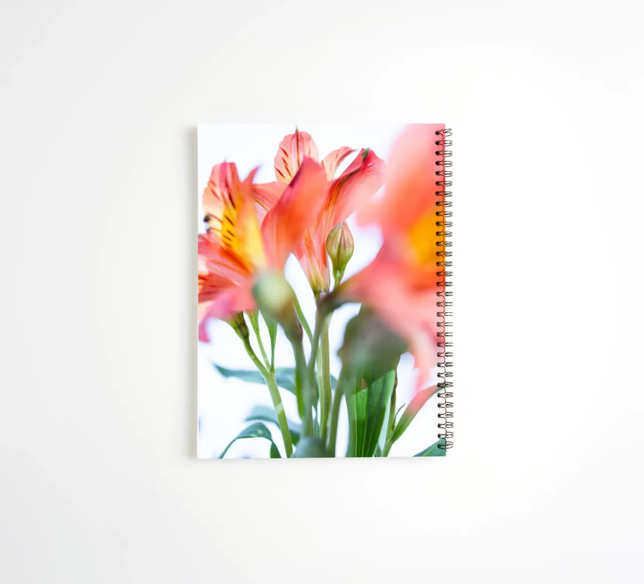 flora studies #9 spiral notebook by rafael campezato