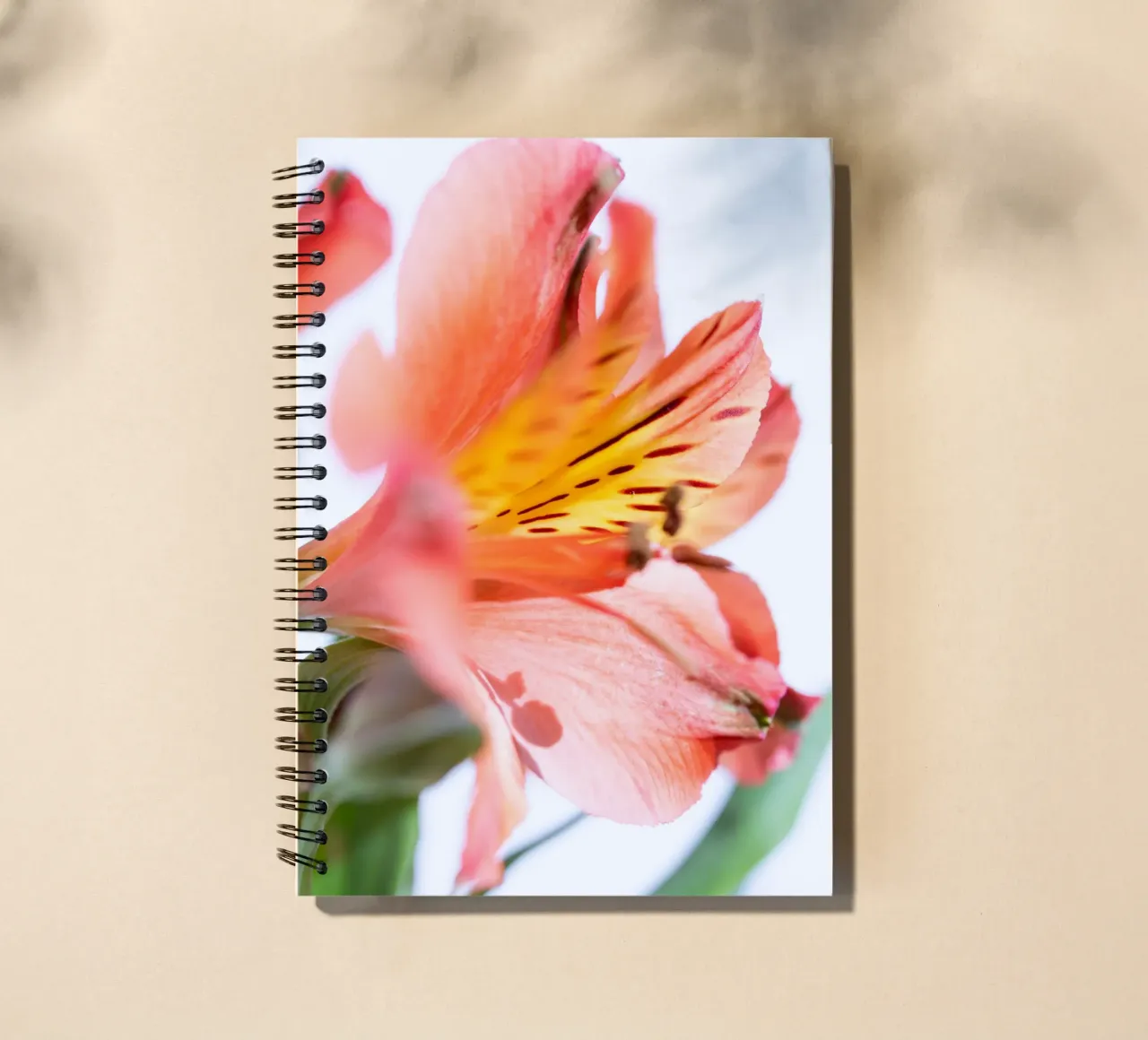flora studies #10 spiral notebook by rafael campezato