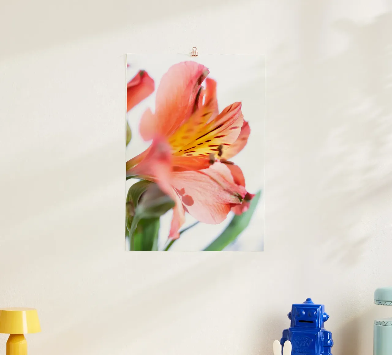 flora studies #10 poster da rafael campezato