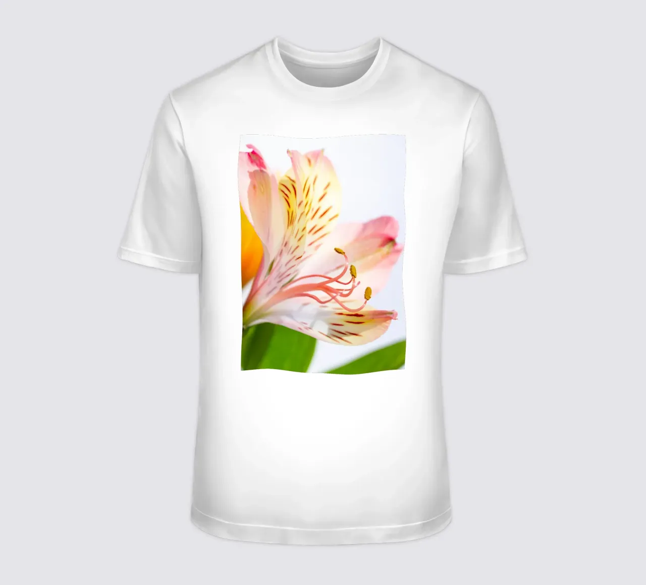 studi sulla flora #11 t-shirt da rafael campezato