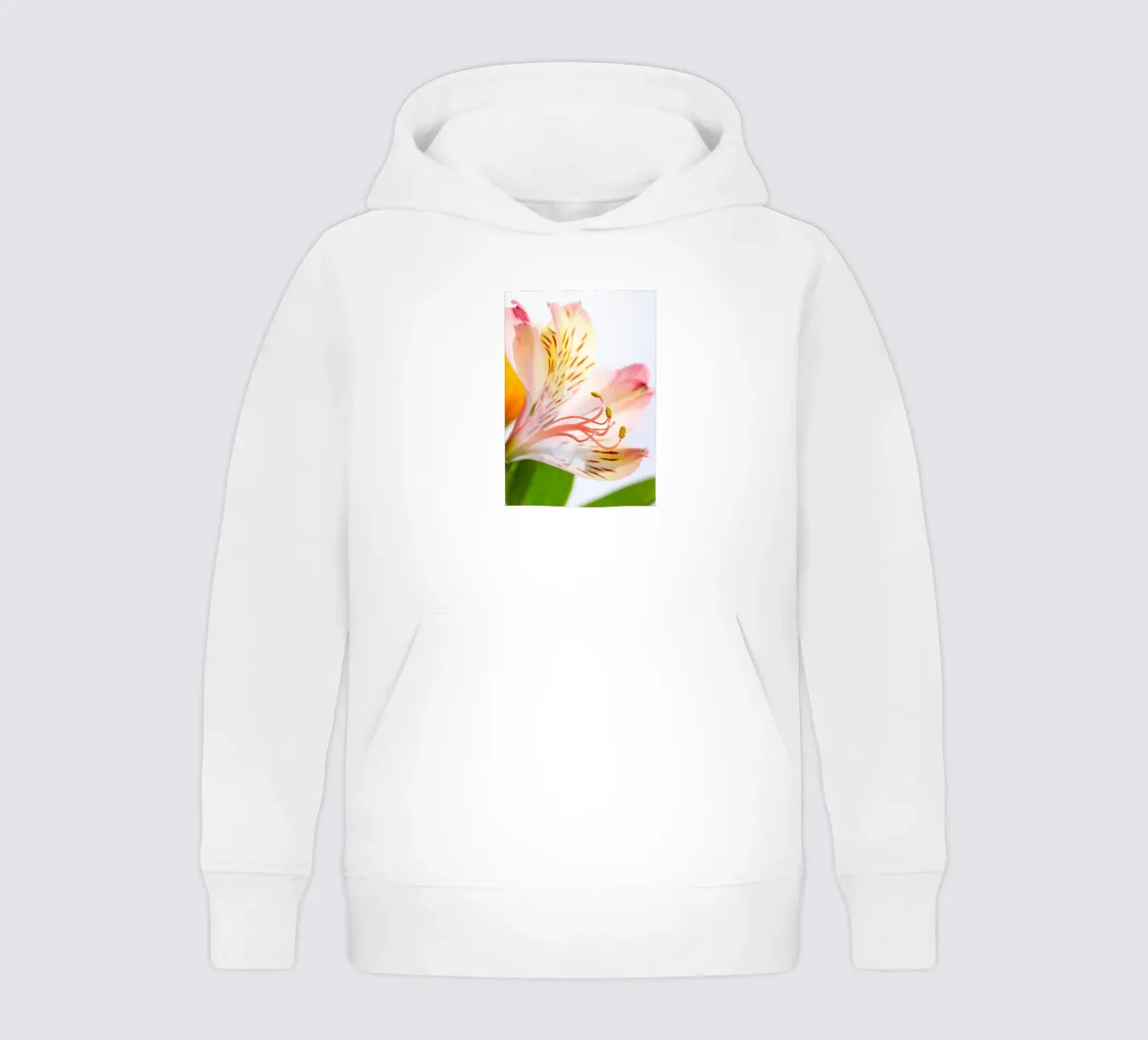 studi sulla flora #11 felpa bambino con cappuccio da rafael campezato