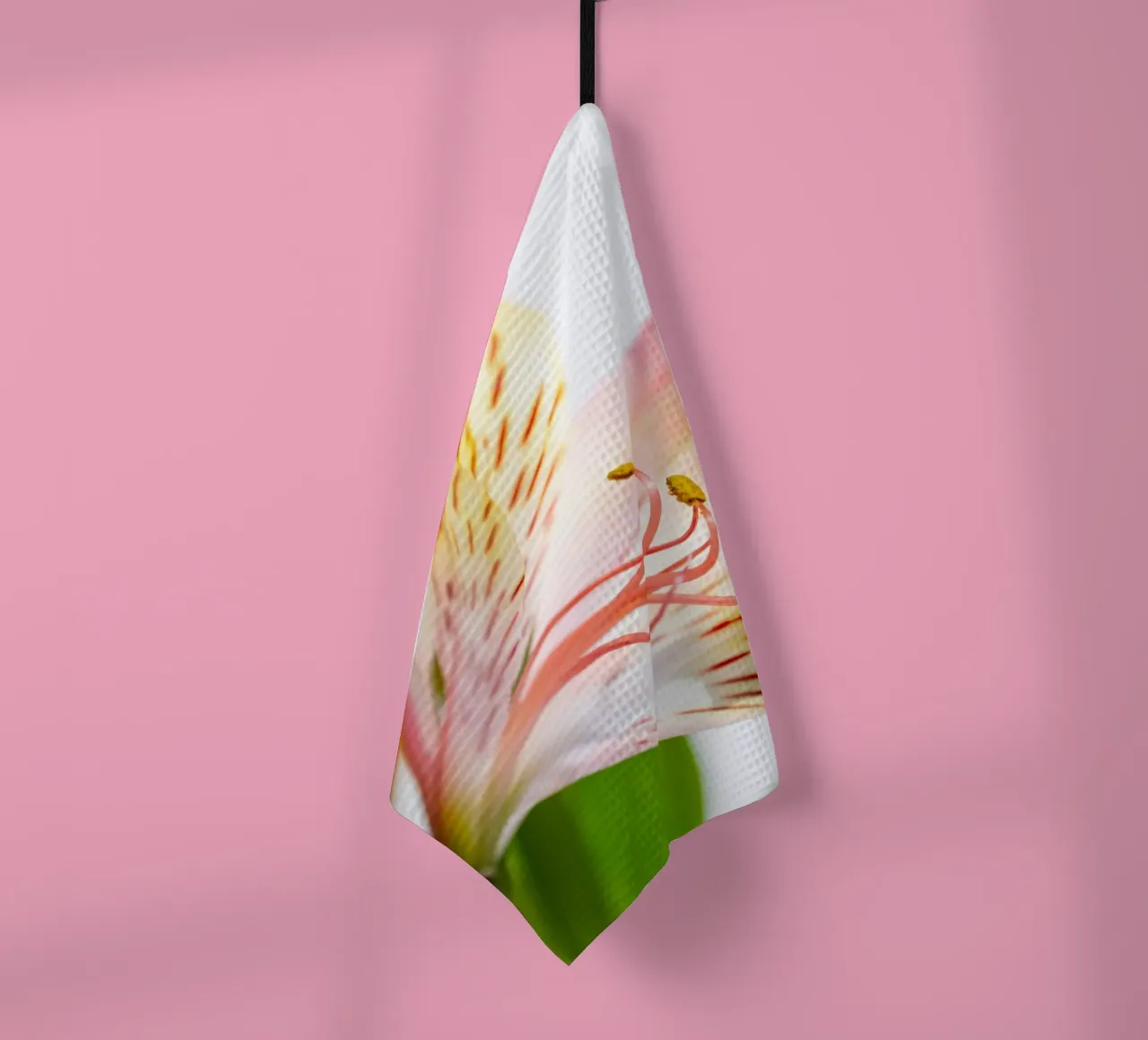 studi sulla flora #11 canovaccio da cucina da rafael campezato