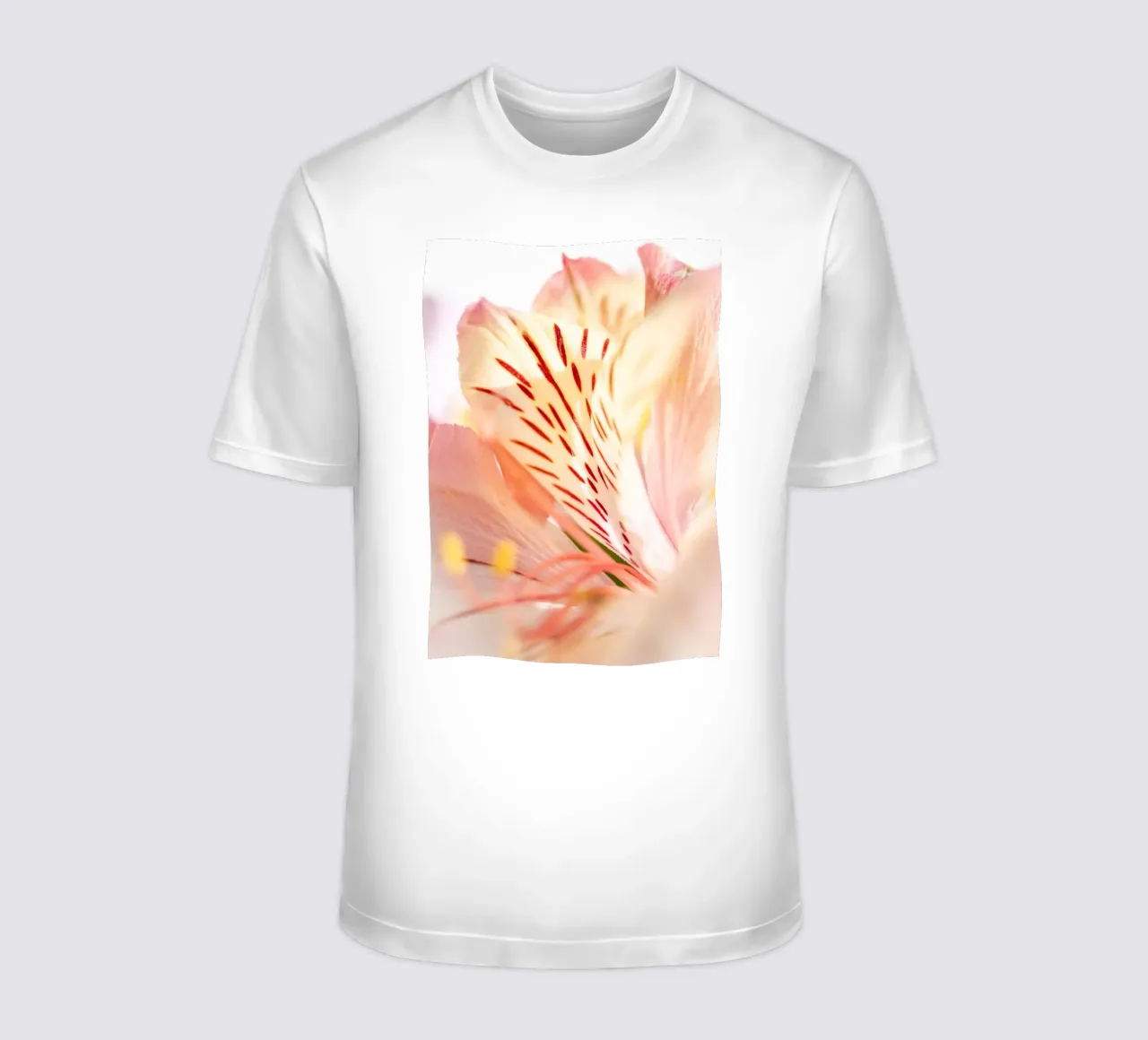 studi sulla flora #12 t-shirt da rafael campezato