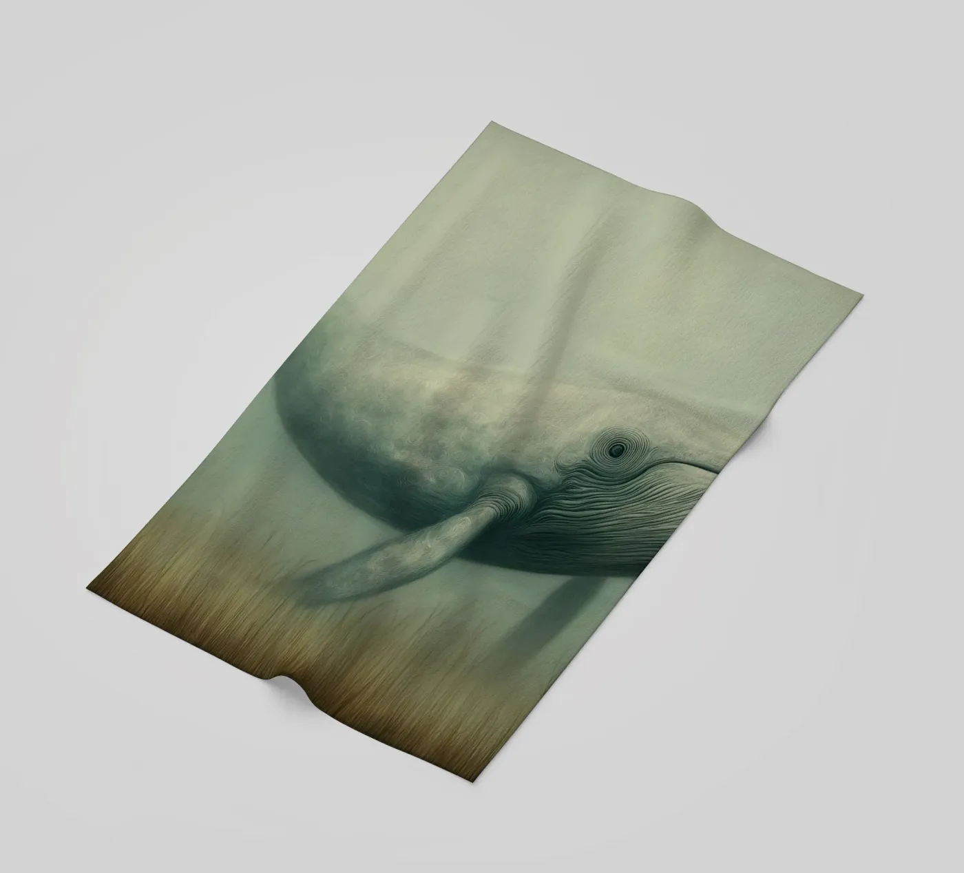 Walvis telo mare da Pictura