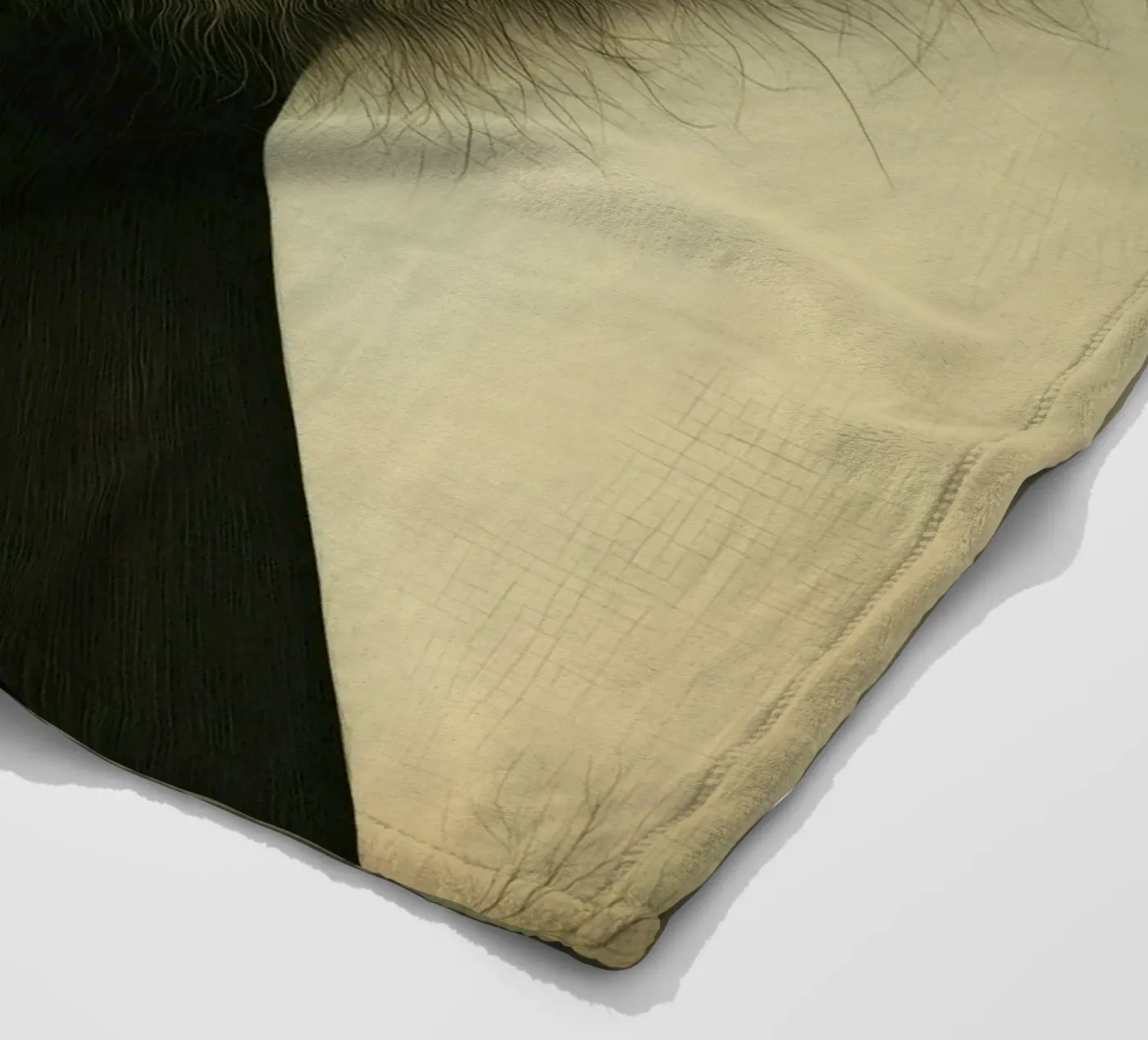 Leone coperta in pile da Pictura