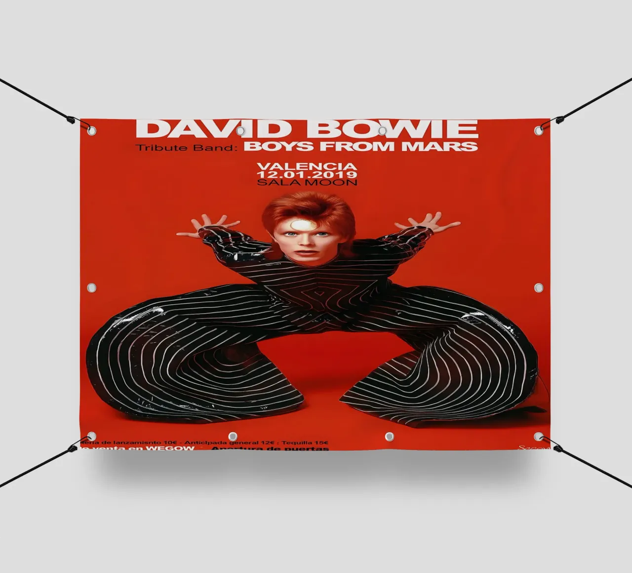 Boys From Mars A Tribute to David Bowie Poster telo in pvc da DGUnder