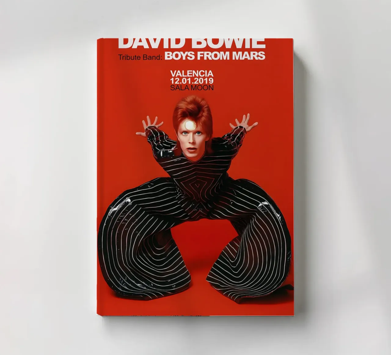 Boys From Mars A Tribute to David Bowie Poster diario da DGUnder