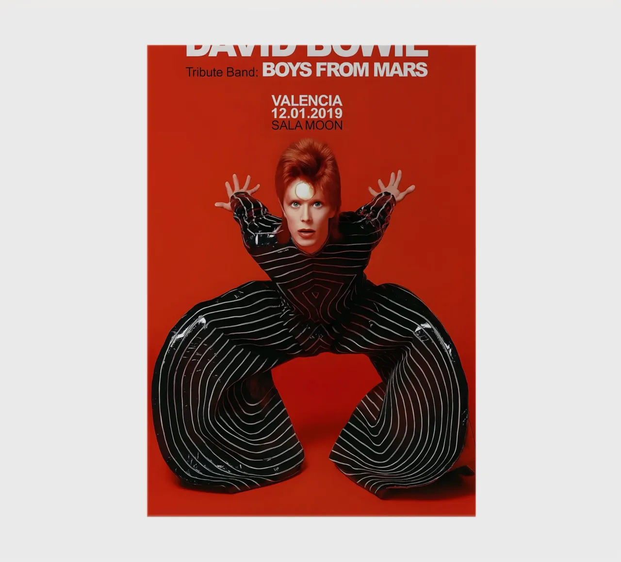 Boys From Mars A Tribute to David Bowie Poster diario da DGUnder