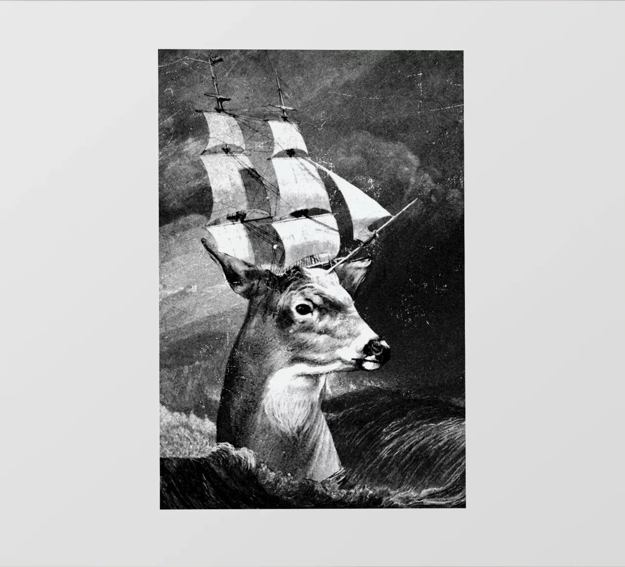 Set Sail telo in pvc da DinoMike