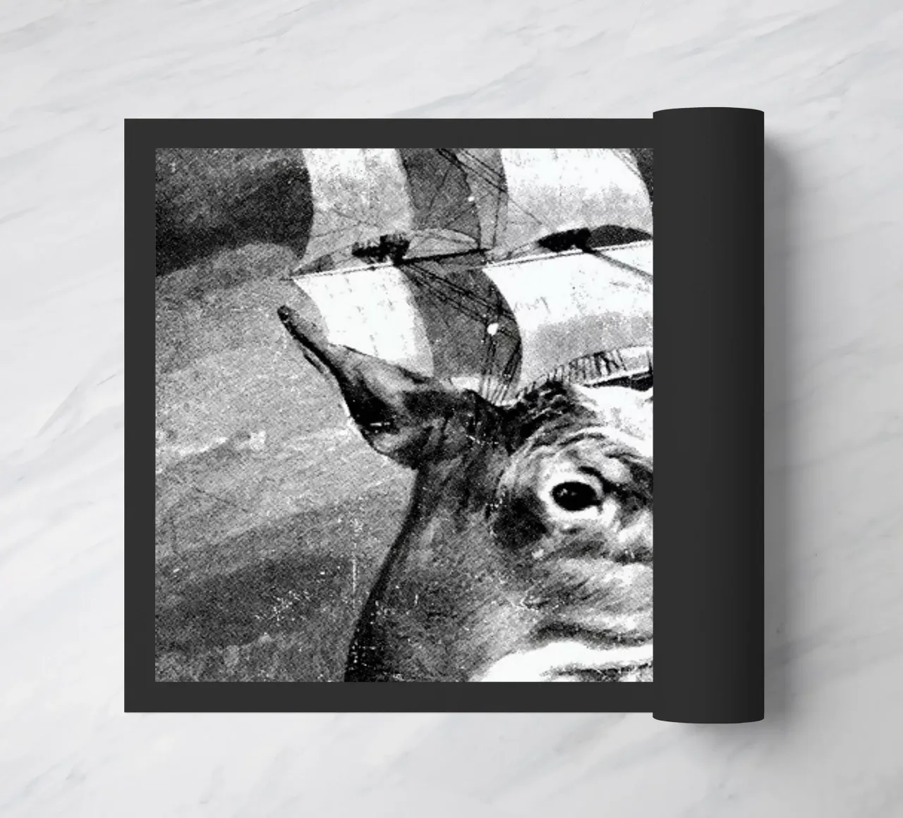 Set Sail doormat by DinoMike