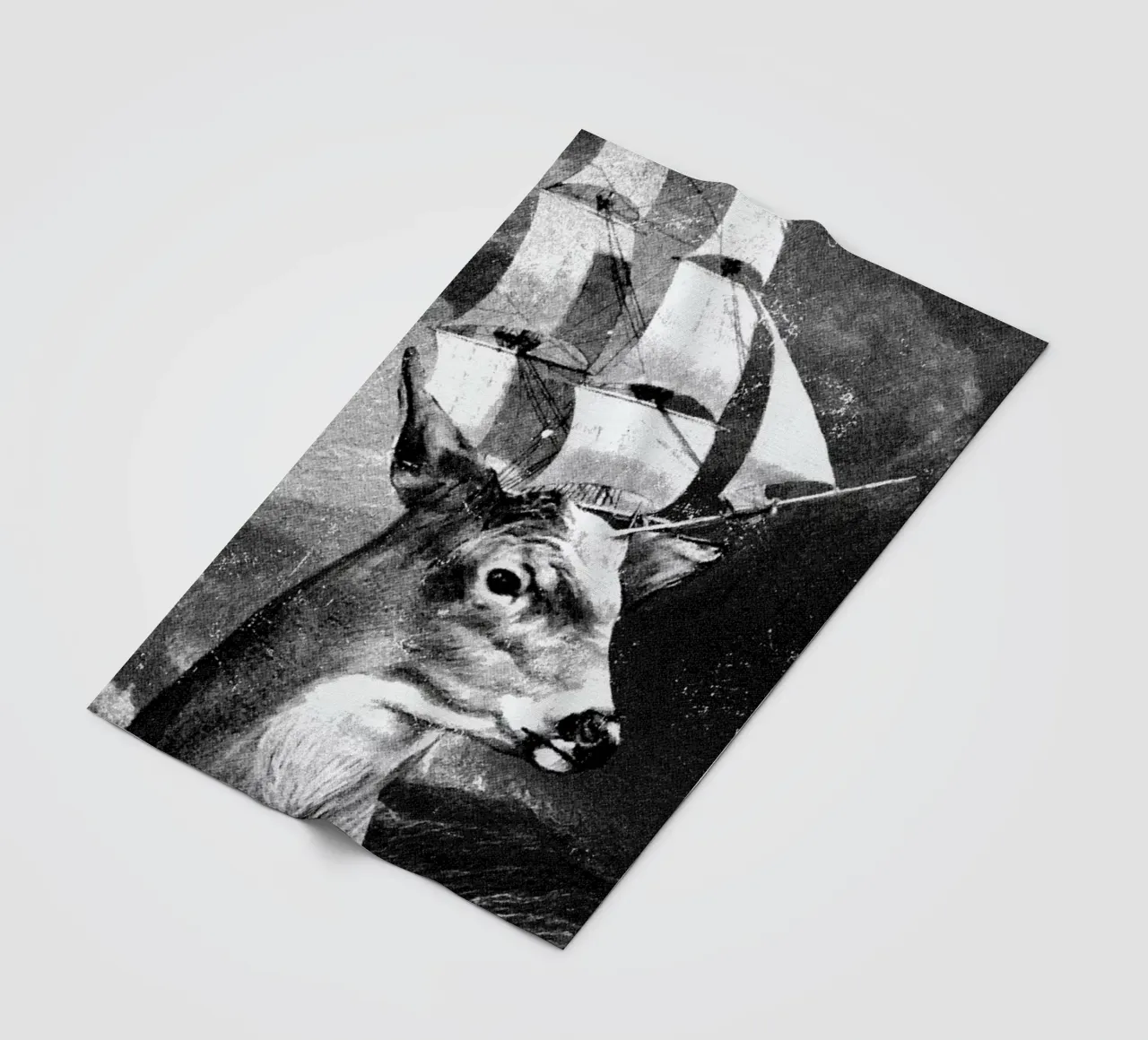 Set Sail coperta in pile da DinoMike