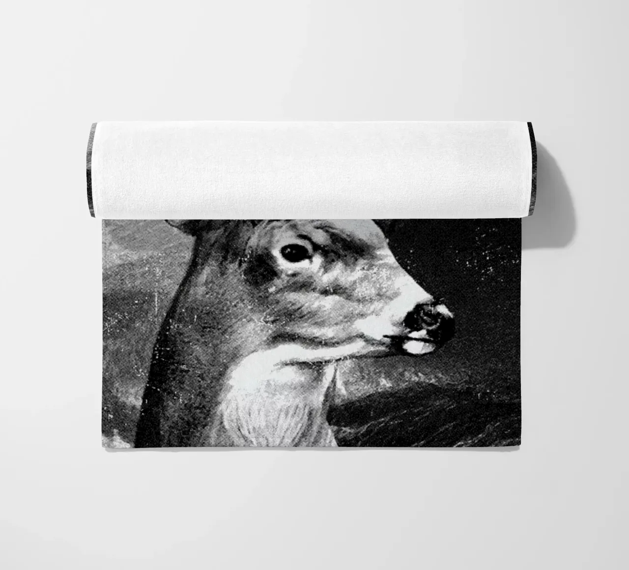 Set Sail telo mare da DinoMike