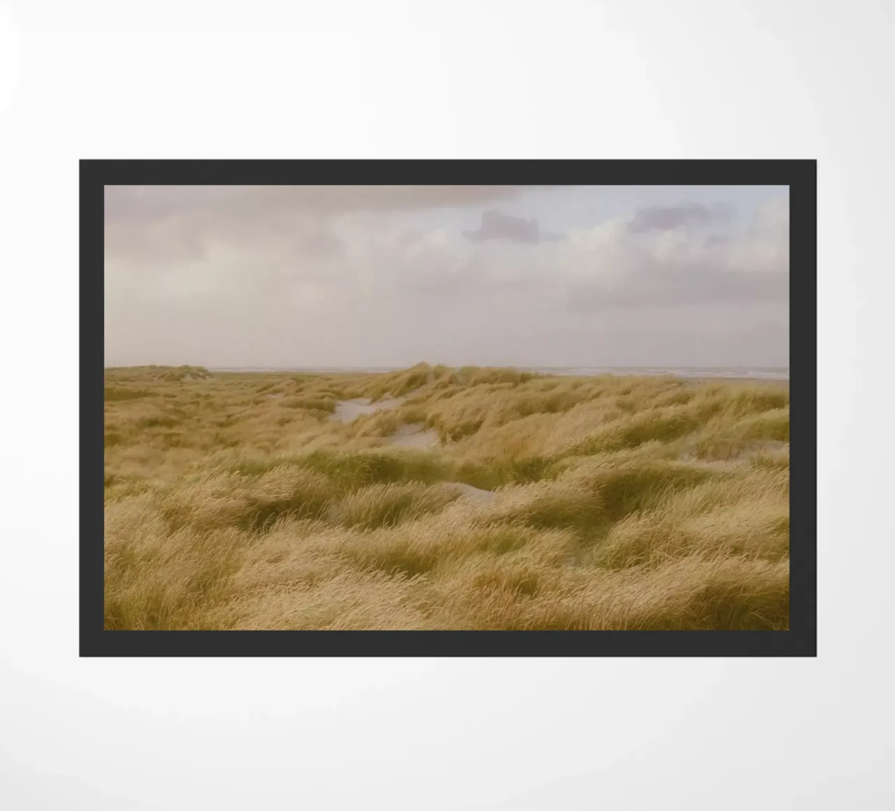 Dune di sabbia a Skagen zerbino da thetraveller