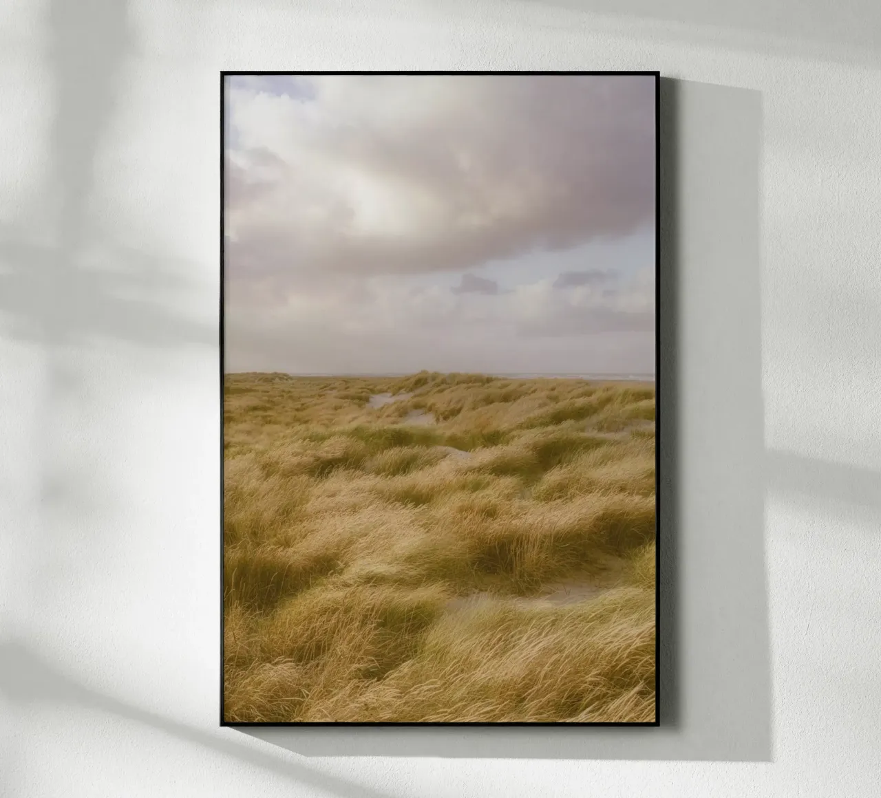 Dune di sabbia a Skagen plexiglass da thetraveller