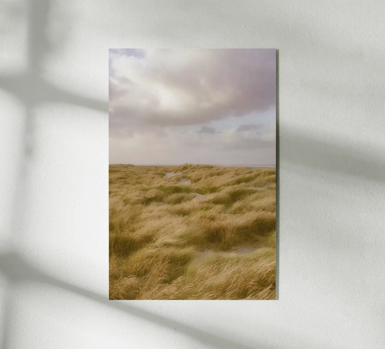 Dune di sabbia a Skagen plexiglass da thetraveller