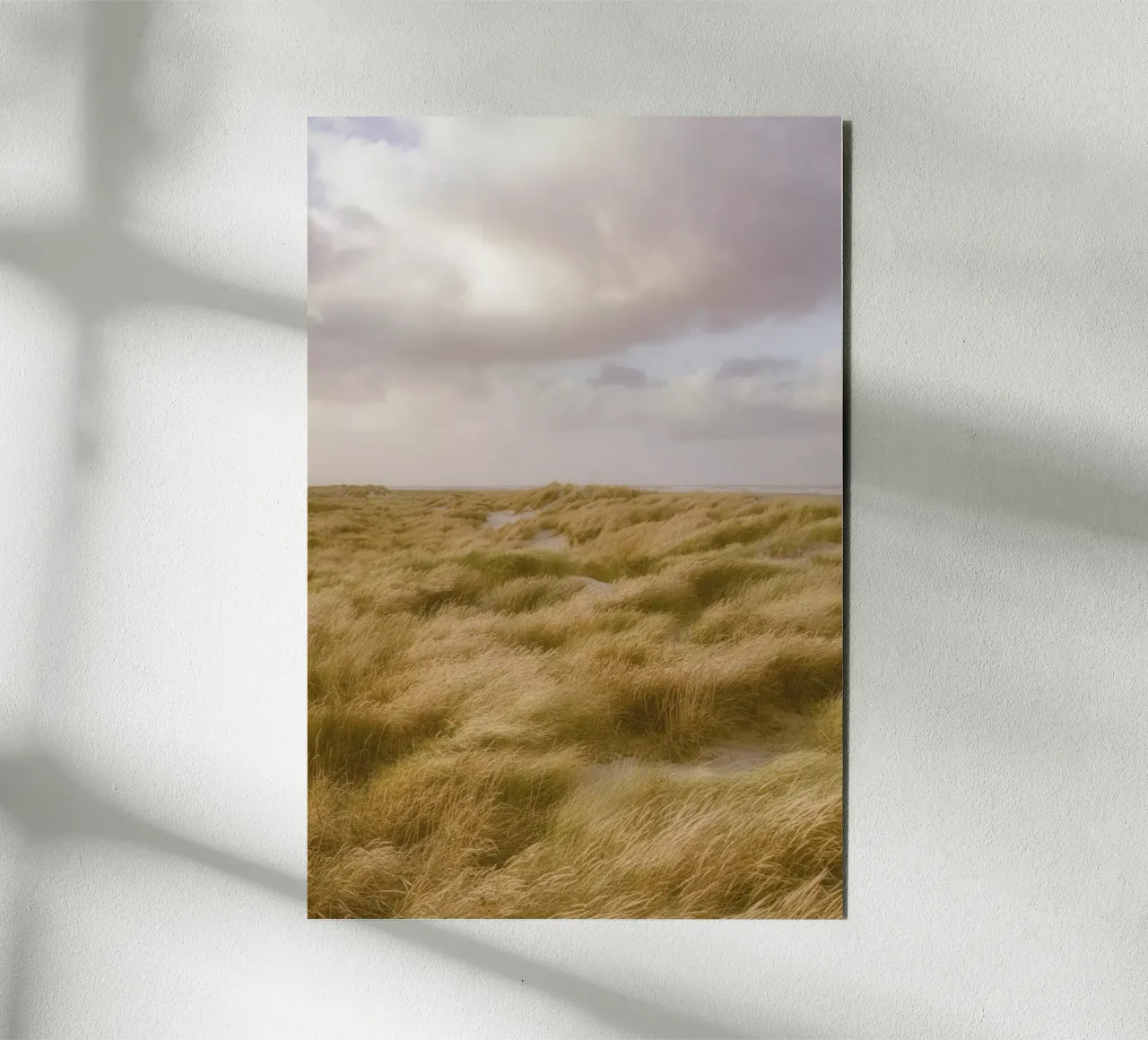 Dune di sabbia a Skagen alluminio dibond da thetraveller