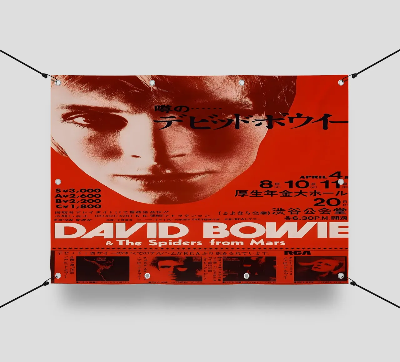 David Bowie And The Spiders From Mars 1973 Tour Live Concert telo in pvc da DGUnder