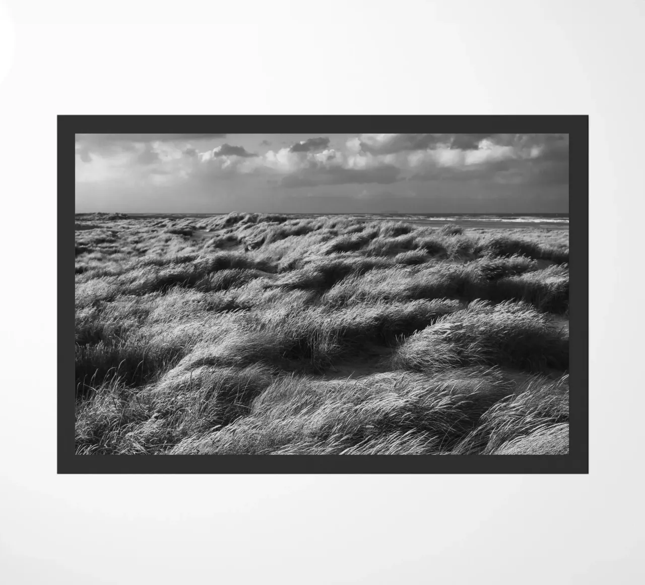 Skagerrak zerbino da thetraveller