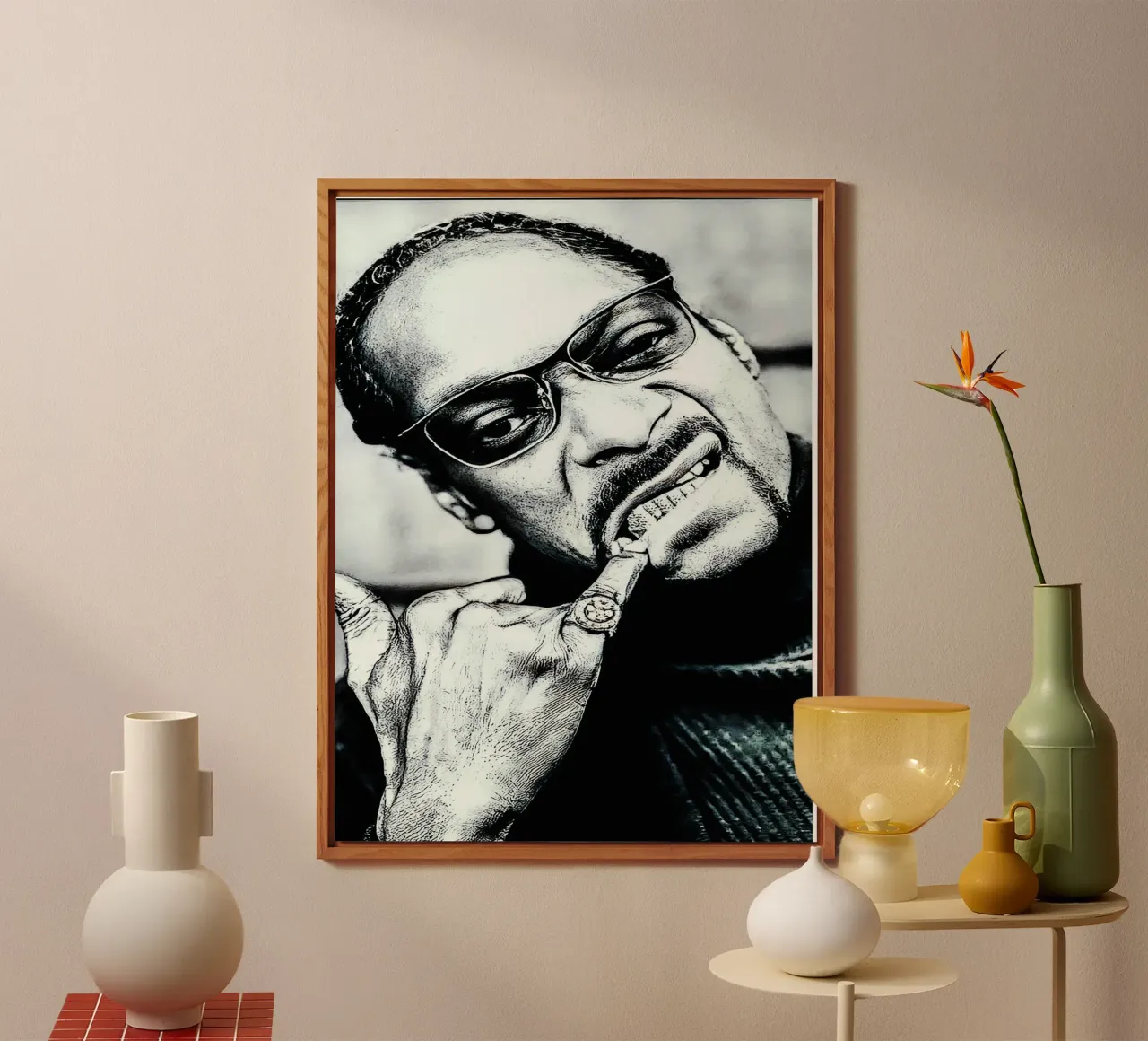 snoop dogg pannello forex da vanhesling