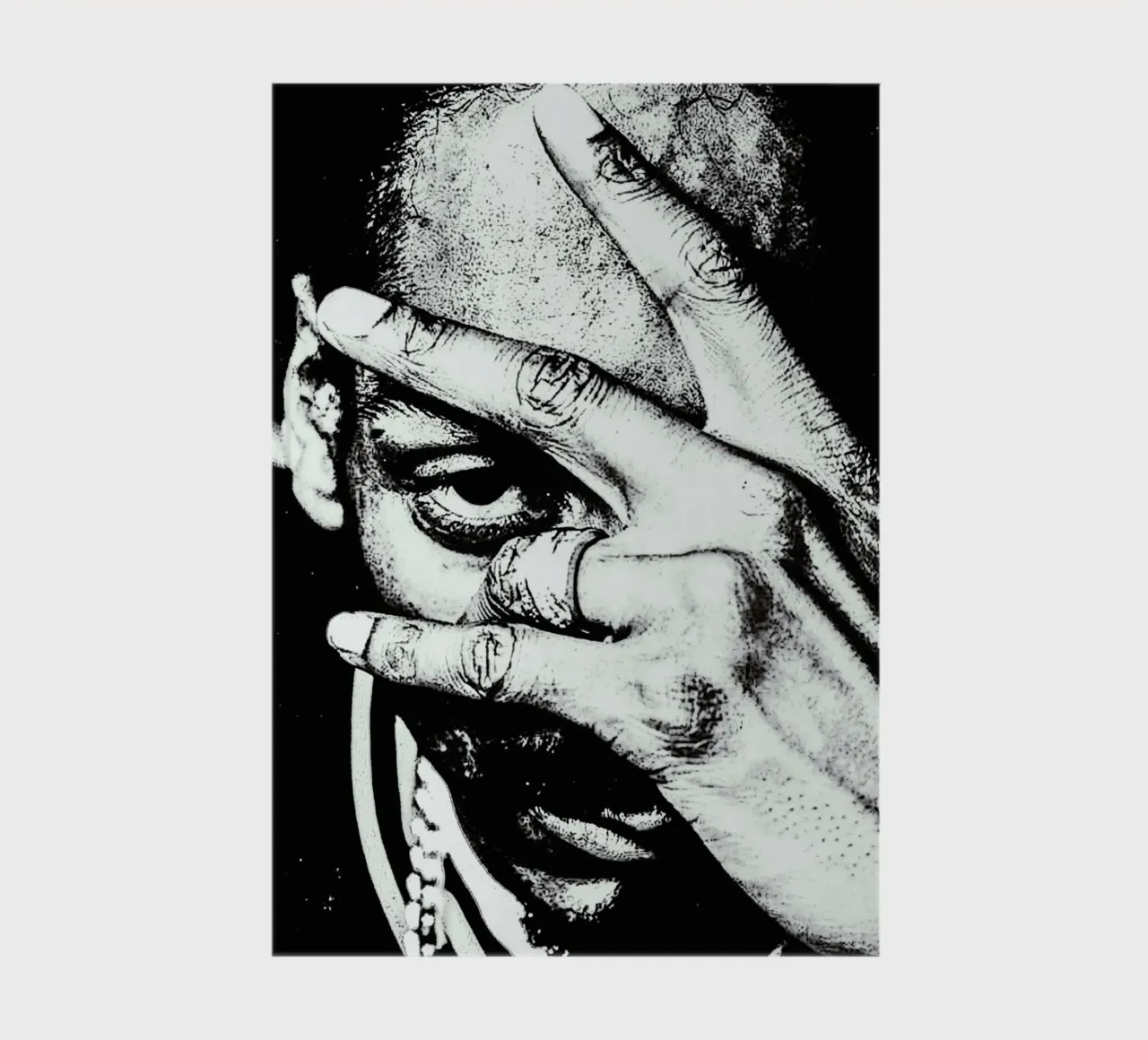 snoop dogg diario da vanhesling