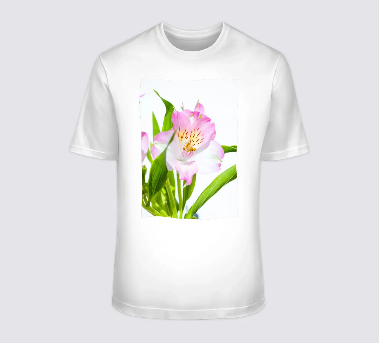 studi sulla flora #13 t-shirt da rafael campezato
