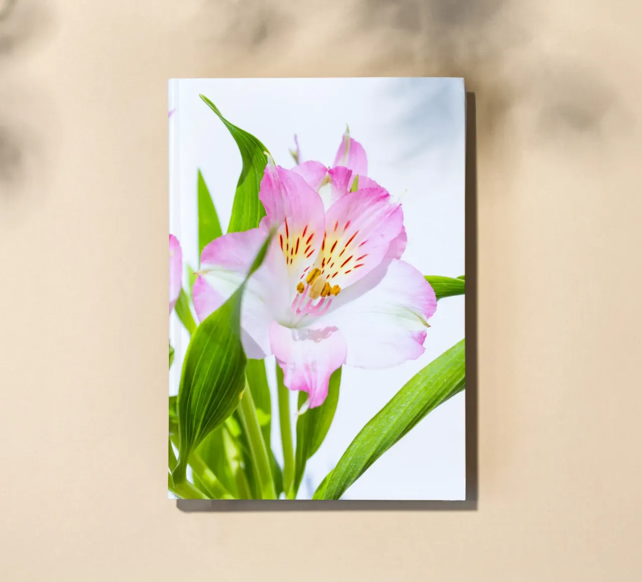 flora studies #13 notebook by rafael campezato