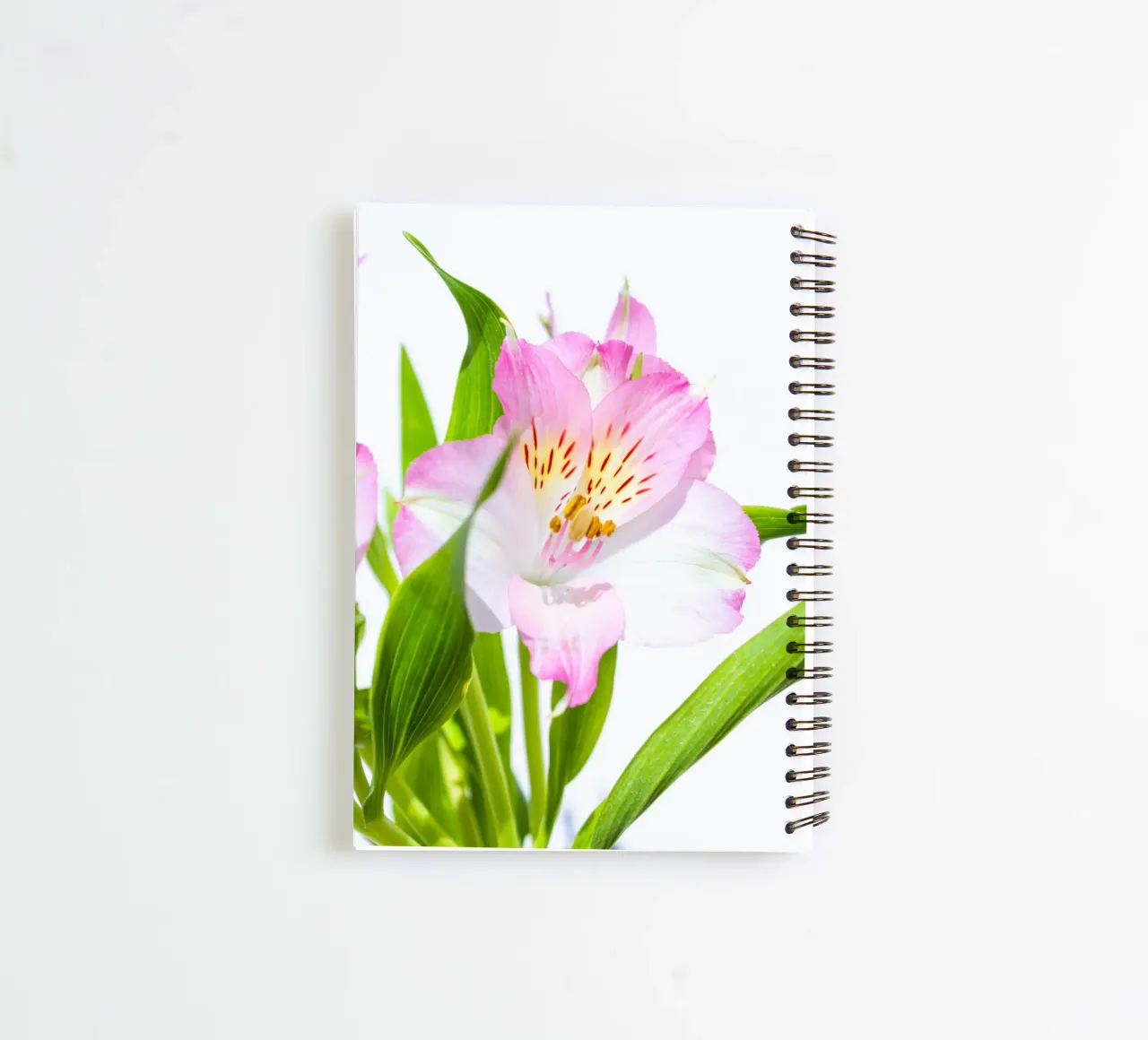 flora studies #13 spiral notebook by rafael campezato